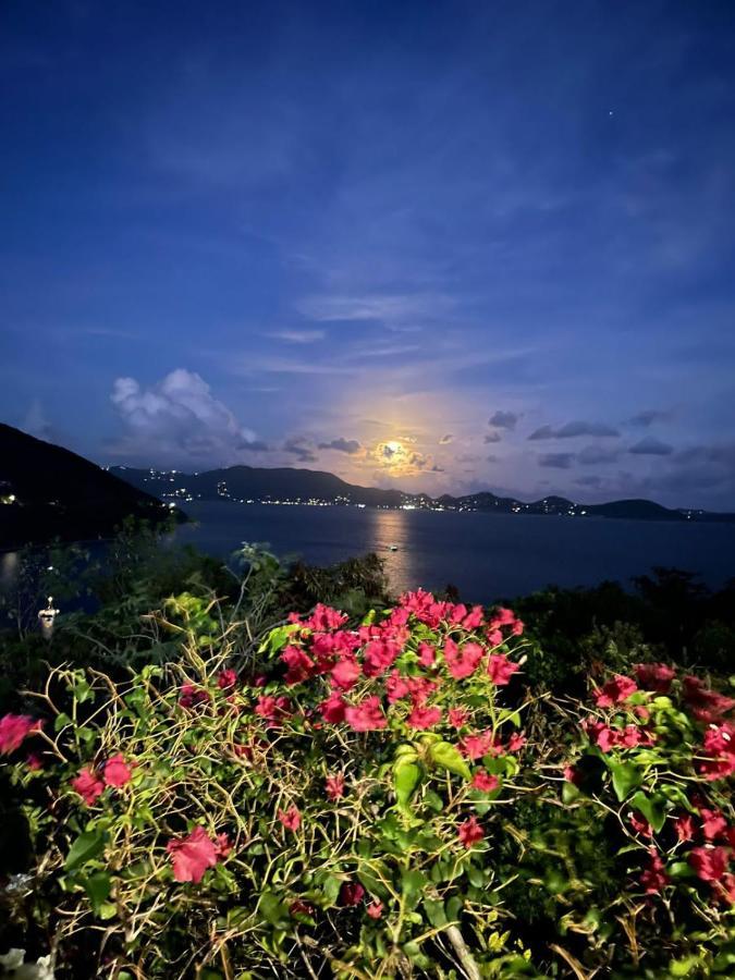 Ocean View Villas Jost Van Dyke Exteriör bild